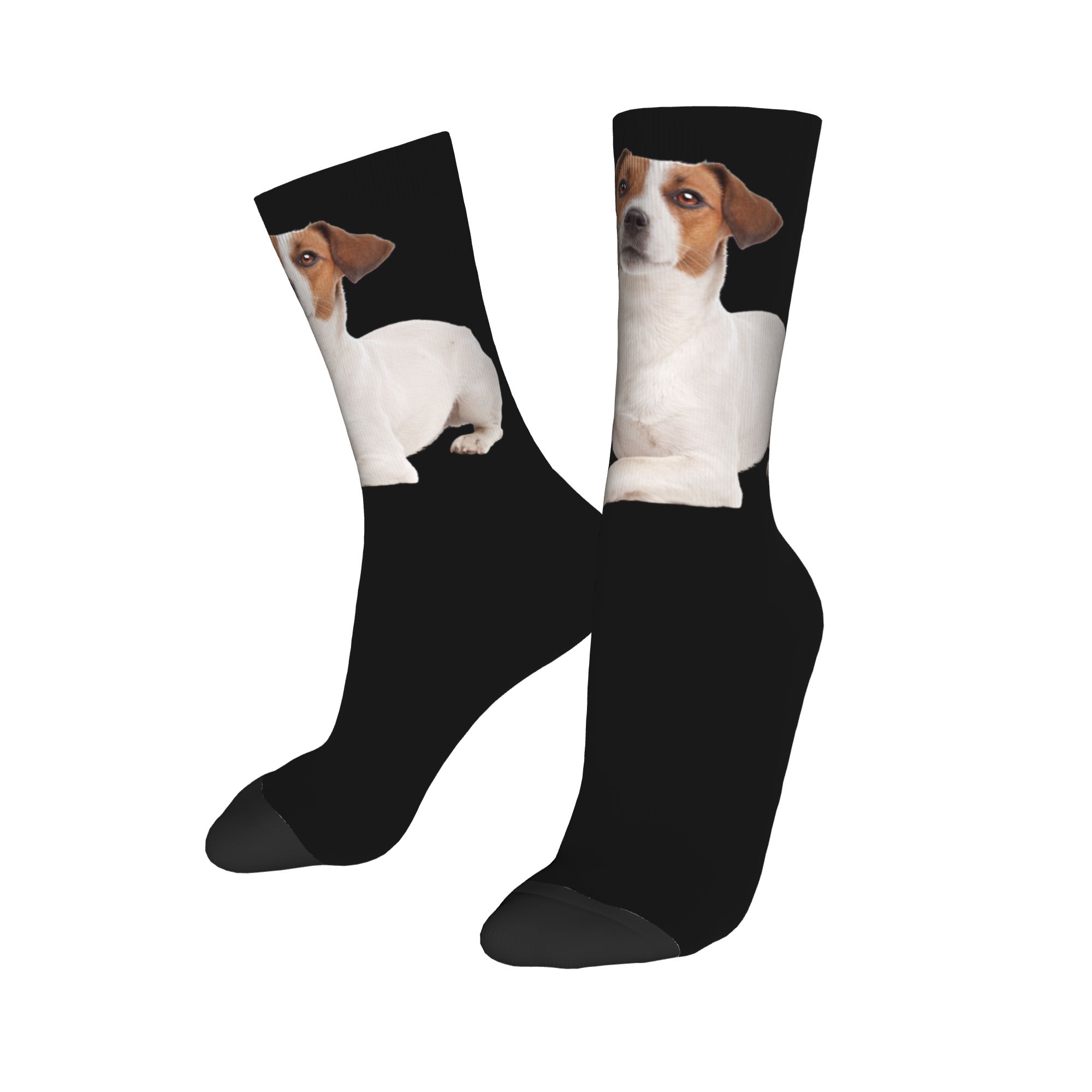 Custom Jack Russell Terrier Do - Dress Sock Men avis et prix